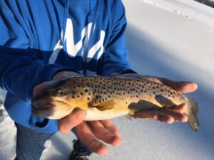Ice Fishing in Maine 13