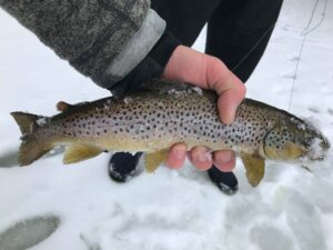 Ice Fishing in Maine 7