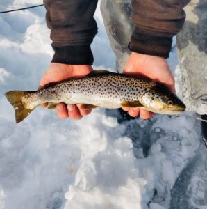 Ice Fishing in Maine 9